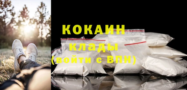 гидра Гусиноозёрск