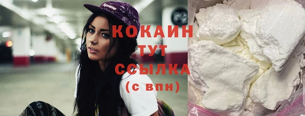 спайс Гусь-Хрустальный