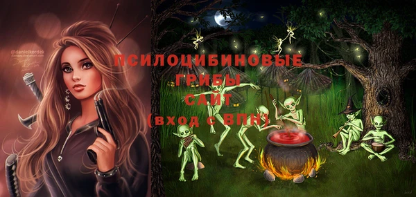 спайс Гусь-Хрустальный