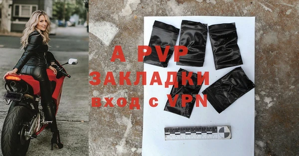 гидра Гусиноозёрск