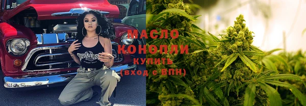 гидра Гусиноозёрск