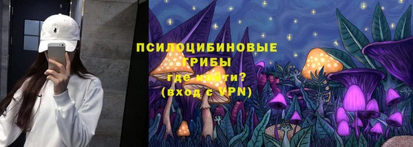 гидра Гусиноозёрск