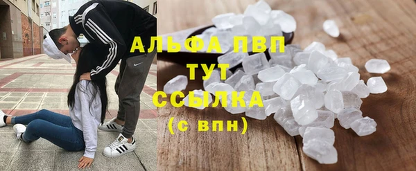 спайс Гусь-Хрустальный