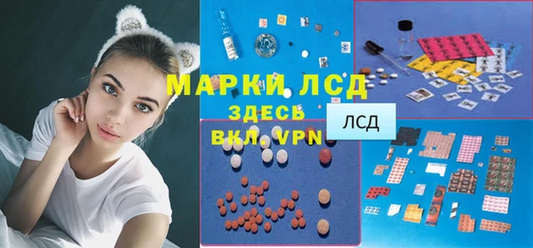 гидра Гусиноозёрск