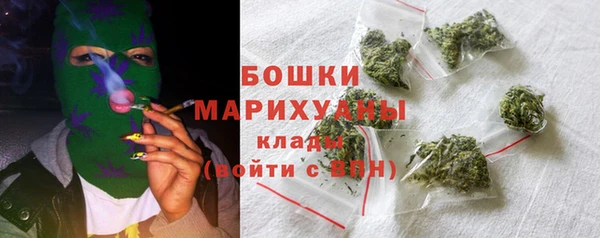 гидра Гусиноозёрск
